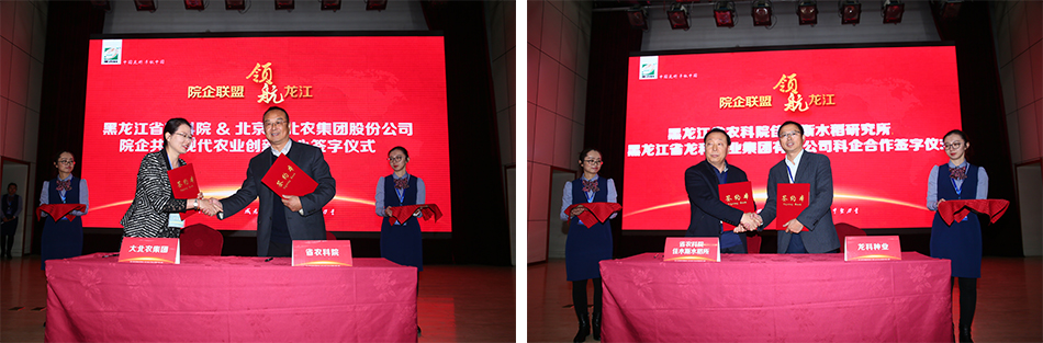 1511487969116744.jpg 5.jpg