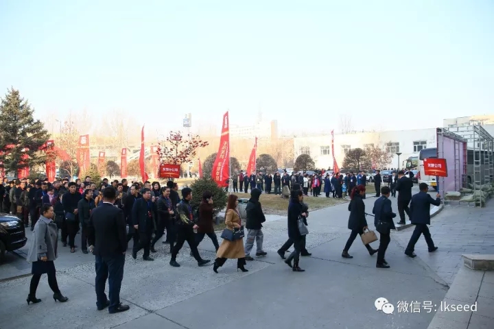 1512541711532550.jpg 2.webp.jpg