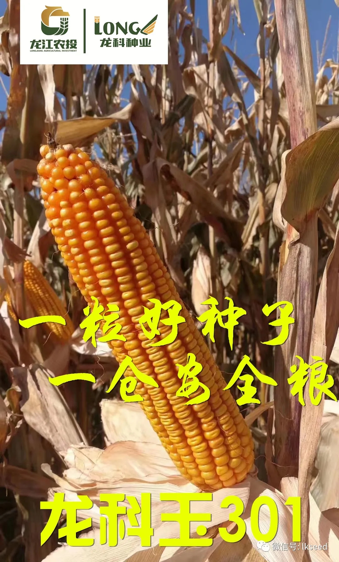 1590471851886512.jpg 640.webp (5).jpg