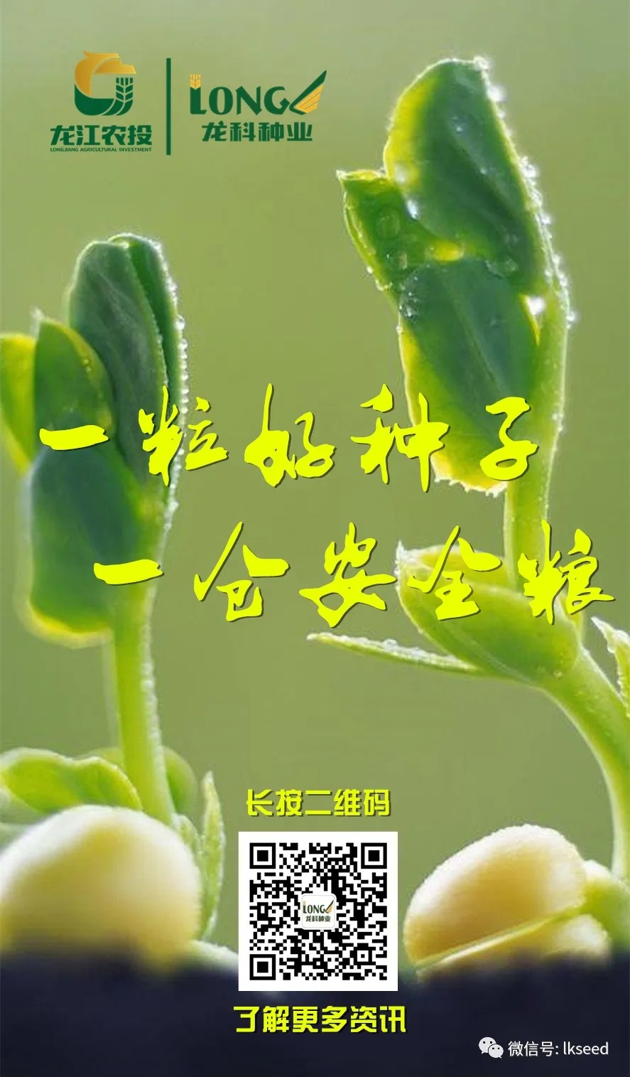 1590472127191677.jpg 640.webp (3).jpg