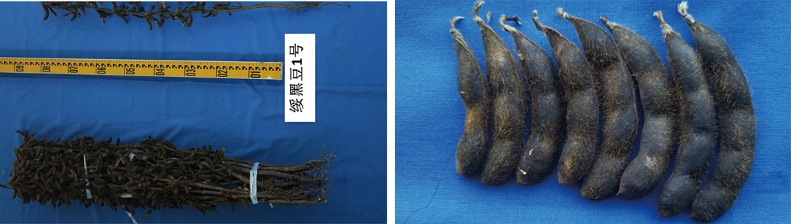 1677824085667647.jpg 1-1.jpg