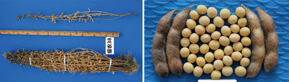 1677831011297560.jpg 1.jpg